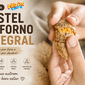 pastel de forno integral vitta croc