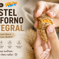 pastel de forno integral vitta croc